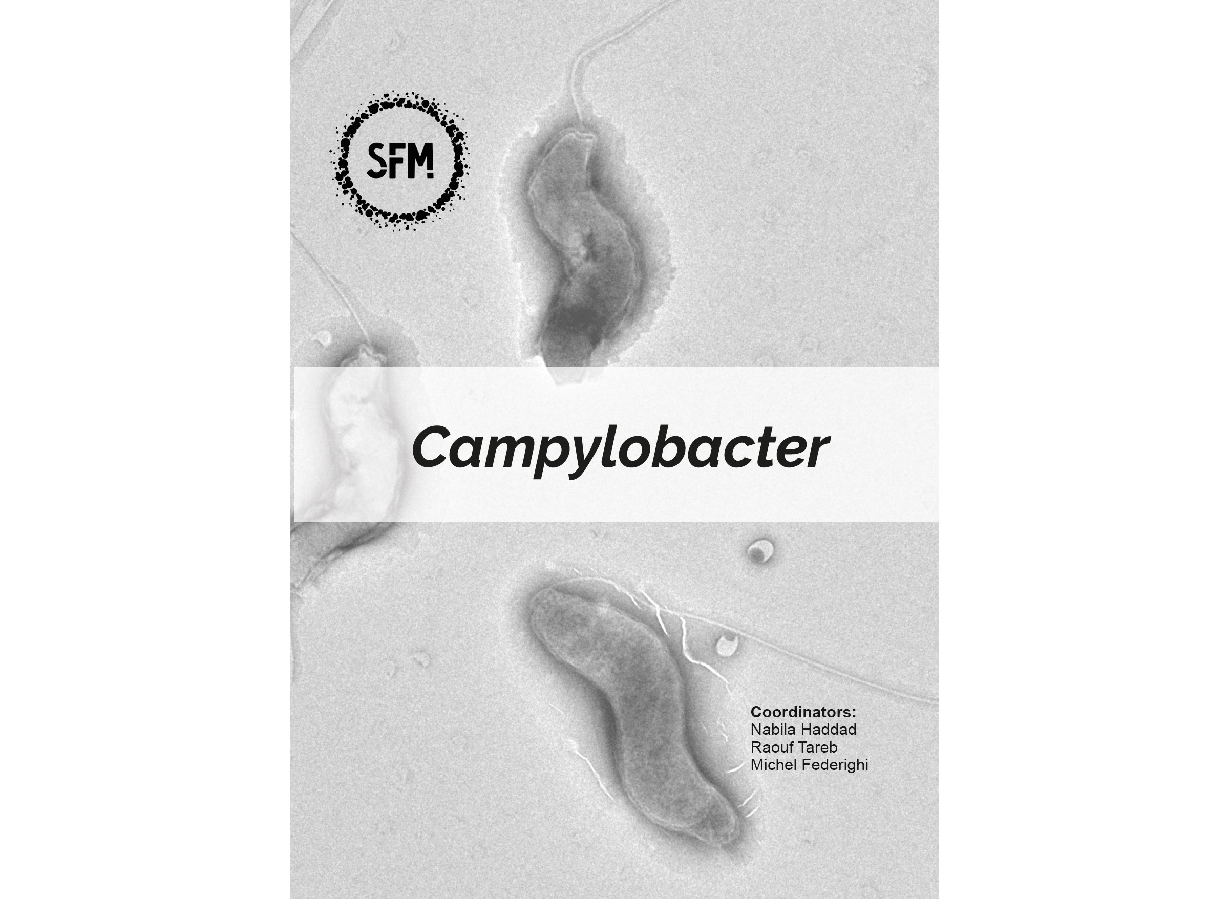 New release of a book on Campylobacter 
